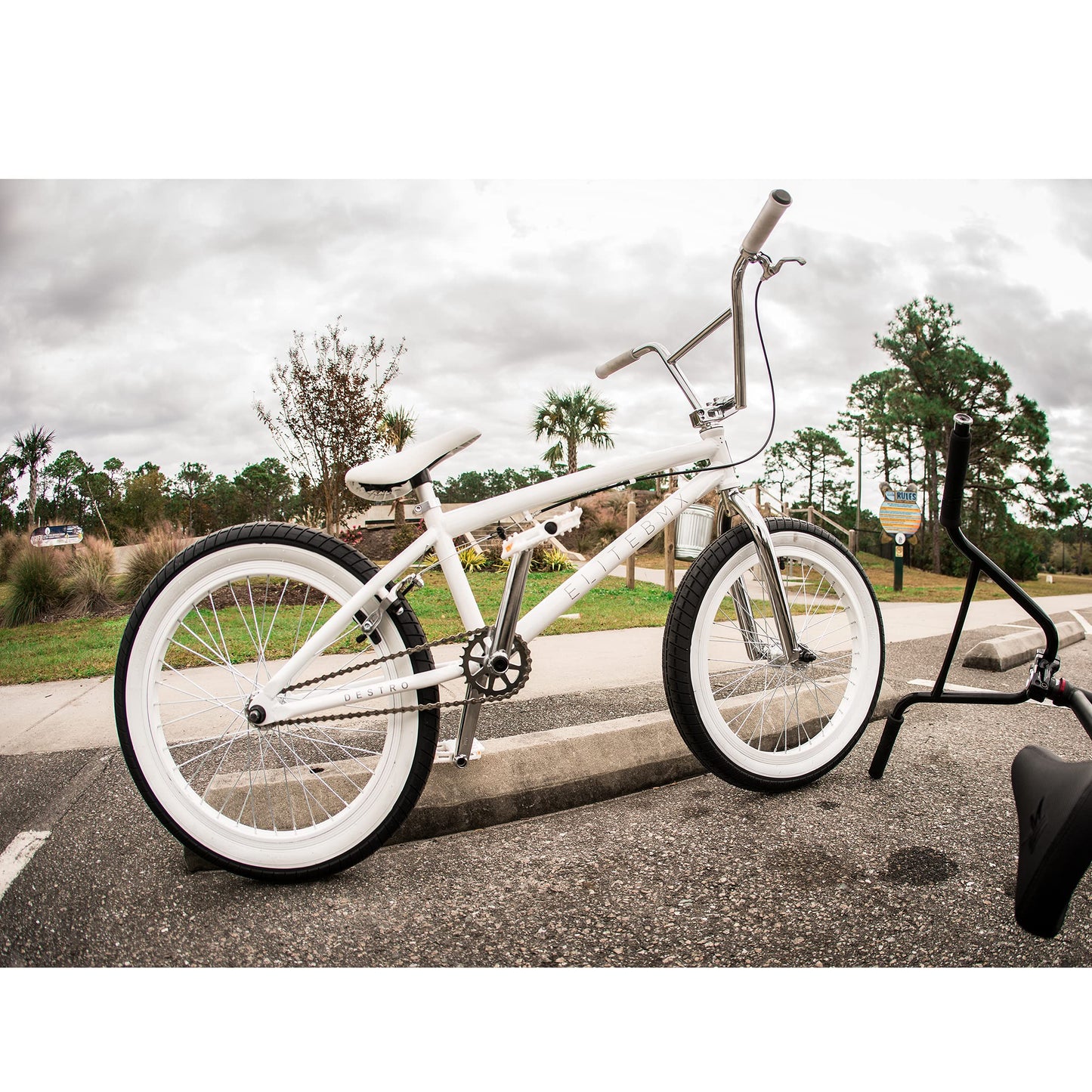 Elite Bicycle Destro Model Freestyle