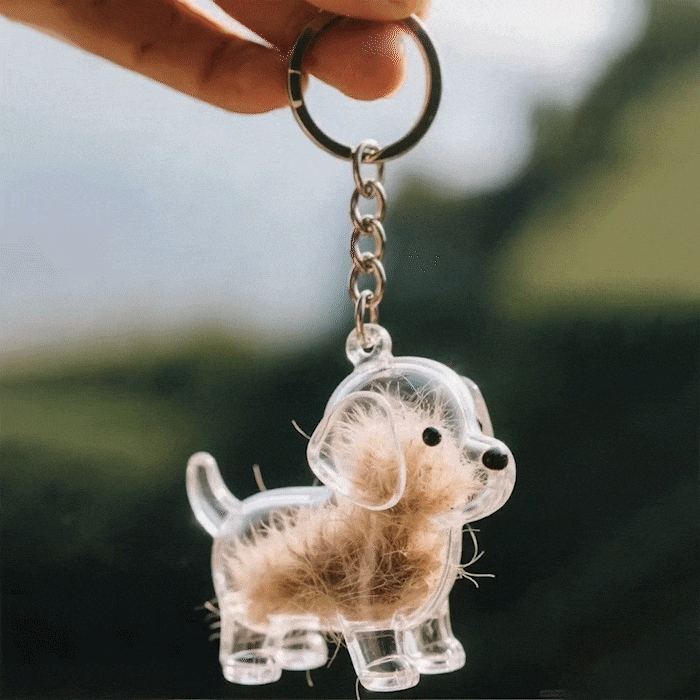🎁Letzter Tag 49% RABATT🐶Hundehaarsammler Schlüsselanhänger Charm Gedenk-Aufbewahrungsbox